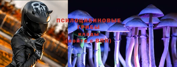 MDMA Няндома