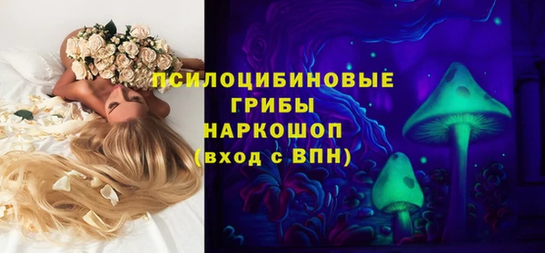 MDMA Няндома