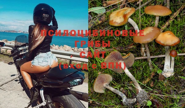 спиды Осташков